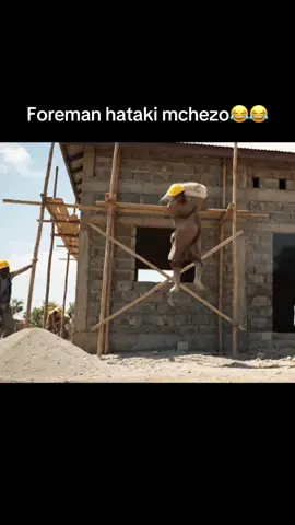 Foreman🔥😭😂😂#veo #gemini #viralkenya #nairobitiktokers🇰🇪 #fypppppppppppppppppp #kenyansinqatar #kenyanmemes #creatorsearchinsight #kenyansinsaudia🇸🇦🇸🇦🇰🇪🇰🇪 #kenyantiktok #rutomustgo #kenyantiktokers #kenyansingulf 