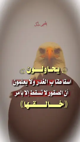 #اكسبلور #عبارات #تحفيزيه # #عبارات_جميلة_وقويه😉🖤  #اكسبلورexplore #creatorsearchinsights 