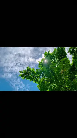 #1m #😅 #foryou #⚠️video 