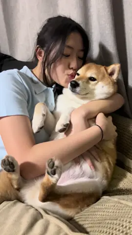 Si alay shiba 😂