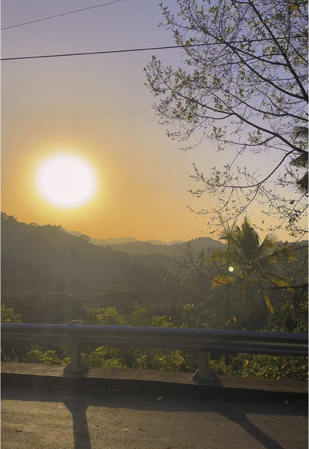 #sun #evening #sunset 
