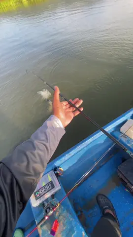 Bab Buang Ikan Ni Memang Dah Jadi Sebahagian Hobi Saya🙂‍↔️ #CapCut #mancing #fyp #kakipancing #foryoupage #hobimancing #fypppppoppppppppppppppppシ #toman #foryourpage #mancingtiktokmania #foryou #duniapancing #mancingtiktok #mancingmania 