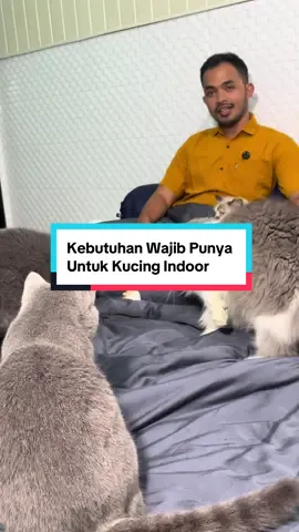 Menyerap bau kotoran kucing membandel sampai 7 hari #penghilangbau #kucing #fyp 