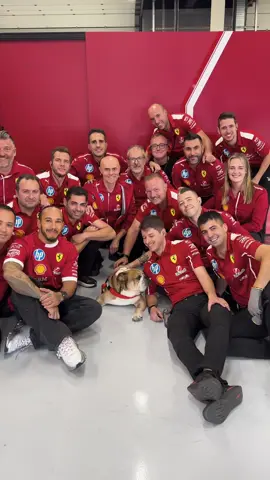 Roscoe meets the team for the first time 🫶 #F1TikTok #FerrariTikTok #ScuderiaFerrari 