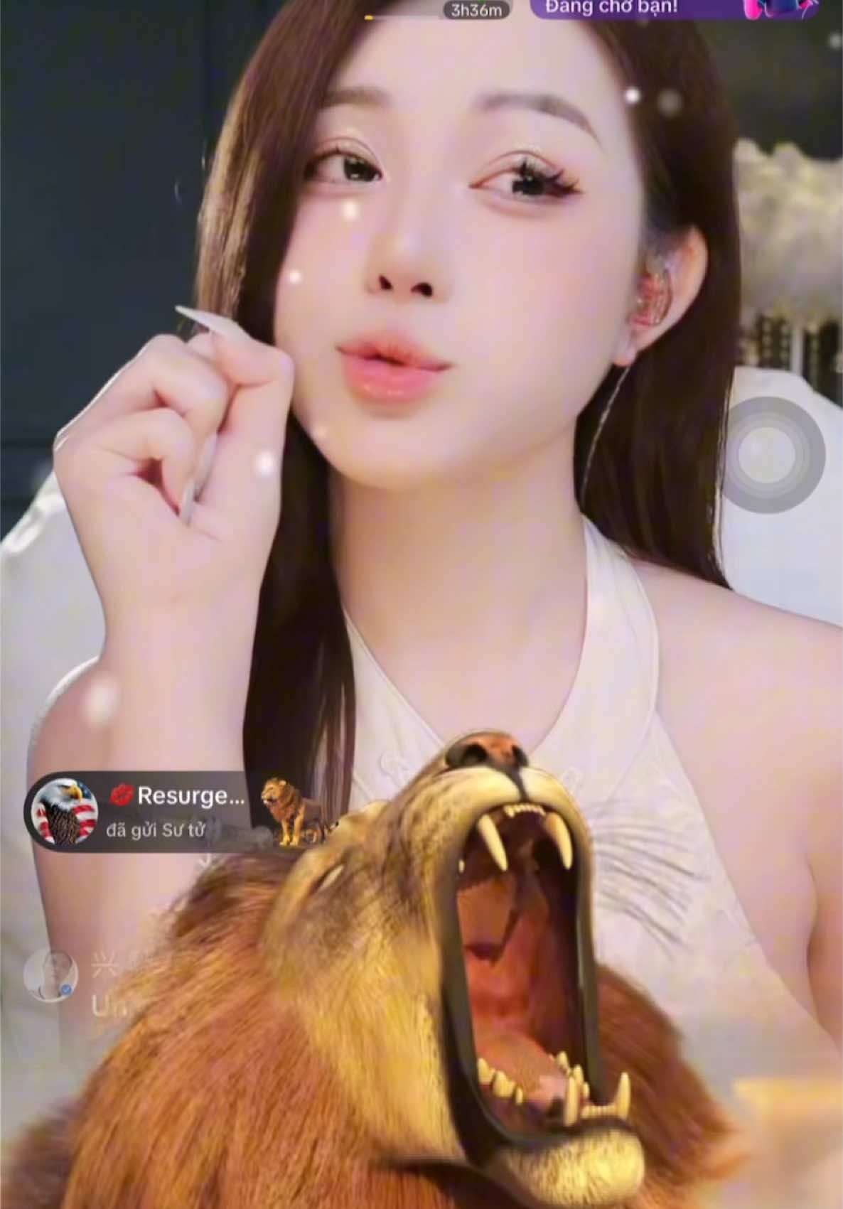 Gruuuuu …🦁 Có mấy con sư tử trong clip vậy mn ?