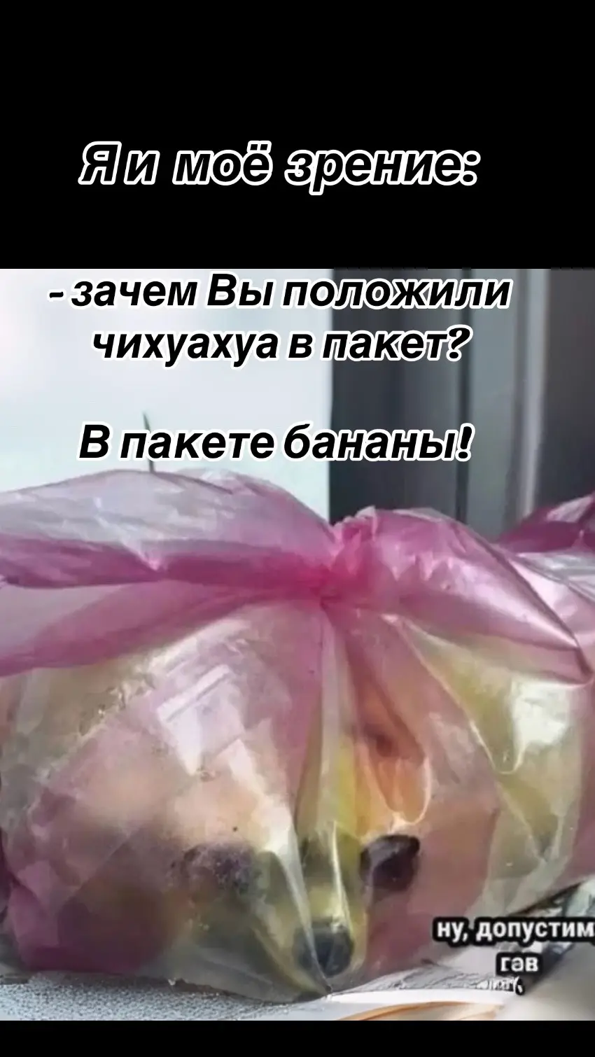 #юмор