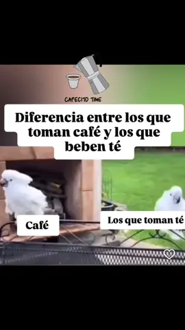 Y es verdad lol #lol #humor #cafeteros #jajajajajajaja 