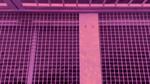 извини.