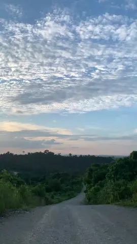 hutan Kalimantan seindah itu😍  #kalimantan #fypシ #sunset #tiktok 