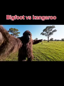 Bigfoot tries to fight a kangaroo 