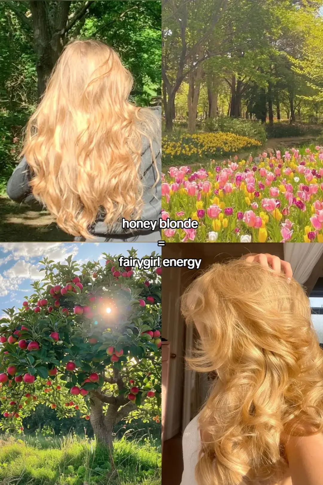 #haircolor #hair #hairstyle #ashblondehair #honeyblonde #jetblackhair #hairtips #hairtips #viral #girls #pretty 