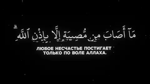 Ат-Тагабун 11-13 #quran #красивоечтениекорана #islamic_video #fyp #foryou 