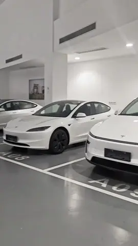 Whose Tesla is this?#tesla #teslamodely #teslamodel3 