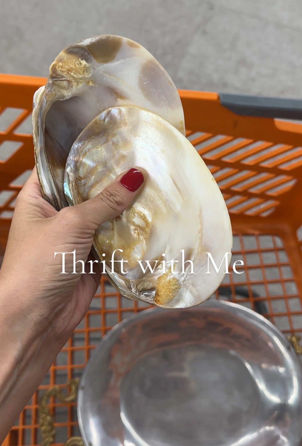 A few finds just before the 4th ⭐️  #cottagecore #cottagecoreaesthetic #vintagedecor #thrifteddecor #thriftedhome #nancymeyers #nancymeyersaesthetic #ohio #thriftwithme #coastalgrandmother #thrifttok #thrifted #thrifthaul #thrift #ohio 