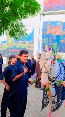 9 mahram at khairpur azadari ❤️🏴🙌🏻🙏🏴##