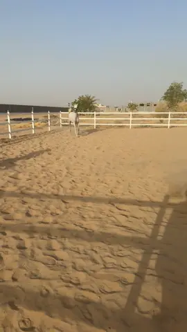 طلع والله اصمل مني ونحمدالله عدت😂😂😂
