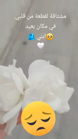 اللع يجمعنا فيك ياعمري🤲