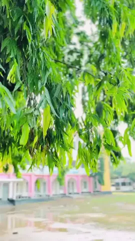 A.D.B.M High School # 🌧️ বৃষ্টি বিলাশ প্রিয় স্কুল # foryourpage # vairal_video_tiktok # Miadh Bepari16