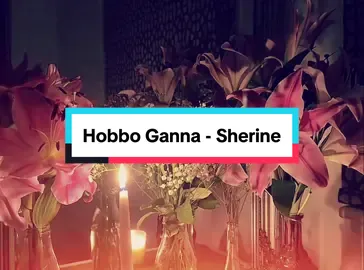 #hobboganna #sherine #sherineabdelwahab #حبه_جنه #شيرين #muslimsoundsss #halalaudios #halalsounds 