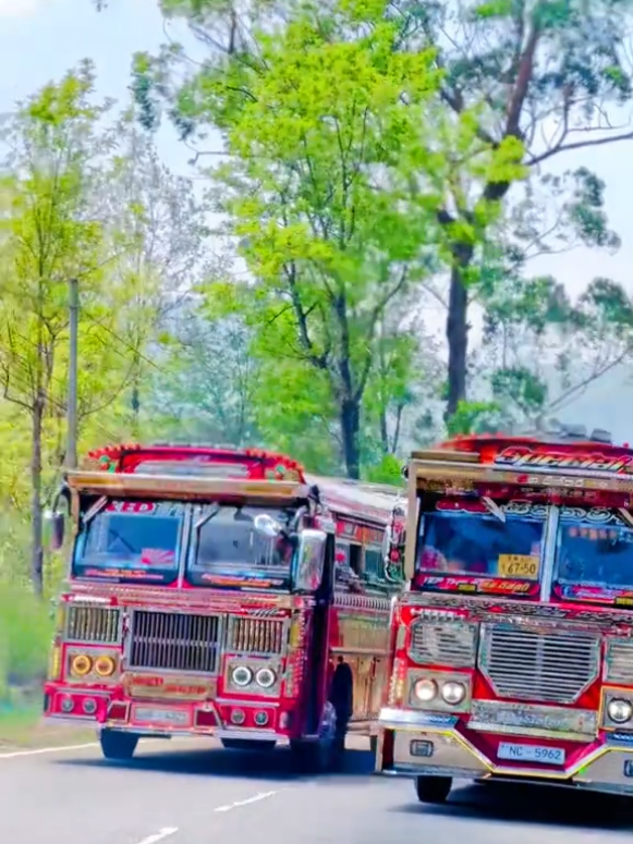 New Update ❤ Tharul Super Line Bus Red Tiger 🐅  අම්මෝ එයාගේ ලස්සන   #rdbuslk #viral #srilanka #slbuslover #srilankan_tik_tok🇱🇰 #srilankabus #srilanka #foryou #foryoupage 