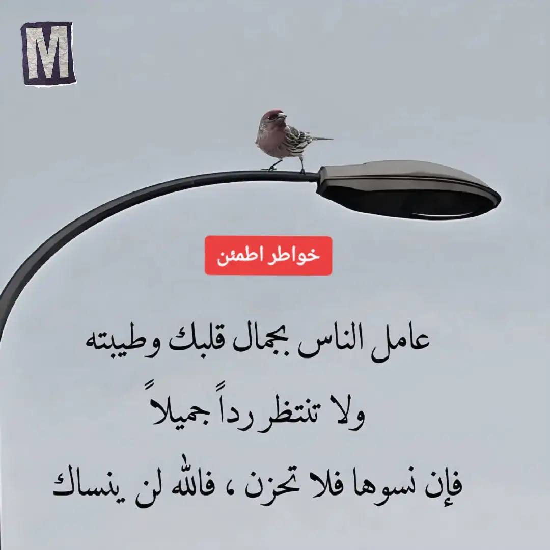 #اكسبلورexplore #خواطر_للعقول_الراقية #خواطر_من_القلب #الحمدلله_دائماً_وابداً💚🌧️🤲 #ترند 