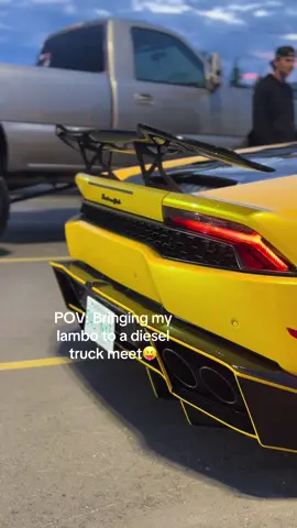 #owtf #fypシ #lambo 