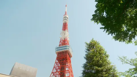 POV: you visited summer in Tokyo #tokyo #japan #beautifuldestinations #visitjapan #travel #cinematic 