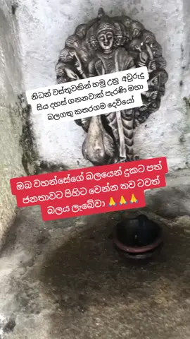 ඔබවහන්සේ අශිර්වාදය ලොව වාසි සියලු දෙනාට සෙතක් ශාන්තියක්ම වේවා 🙏🙏🙏#capcut #1millionaudition #viraltiktok #1millionaudition #kuwait🇰🇼 