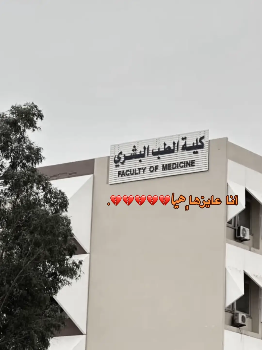 #كليه_الطب_البشري #دعوه_اربعين_شخص_مستجابه #يارب_اجعلها_من_نصيبي #طربلس_بنغازي_مصراته_طبرق_درنه_البيضاء #ليبيا🇱🇾 #هشتاقات_تيك_توك_العرب #