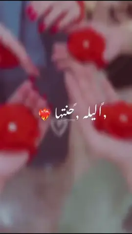 دائما الحنه صير احلى من العرس😉💃👌#الليله_الحنه #شعب_الصيني_ماله_حل😂😂 #مالي_خلق_احط_هاشتاقات🧢 #ساجده_عبید_💞 