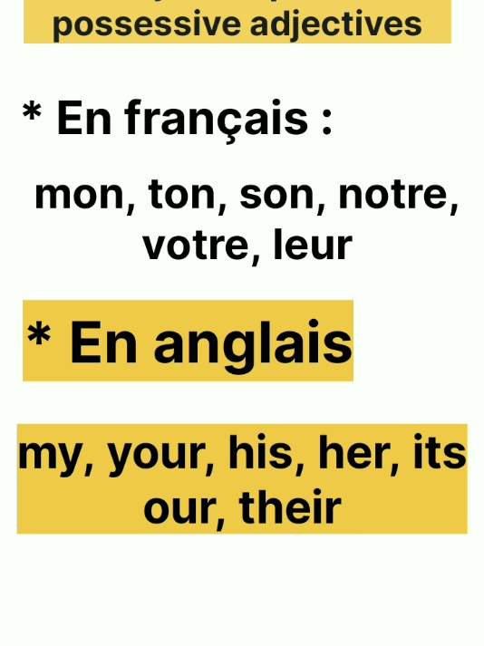 tu dis my book mais pas mine ? tu confonds her et hers ? voici enfin la différence claire entre les adjectifs possessifs et les pronoms possessifs ! #ApprendreAnglais#AnglaisDébutant#PossessiveAdjectives#PossessivePronouns#GrammaireAnglaise#EnglishForBeginners#LearnEnglishFast