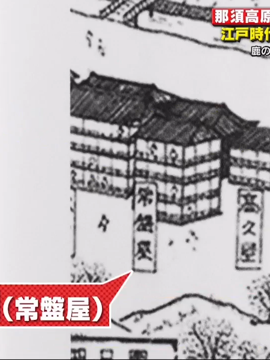 #日本 #バラエティ #映画 #ドラマ #コメディ #面白動画 #お笑い #トークショー #fyp #フォロバ #バズる #ダンス #音楽 #トレンド