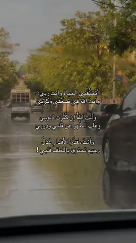اللهم أغث قلوبنا بلطفك 🤍🌧️ #batna #fyp #rain 