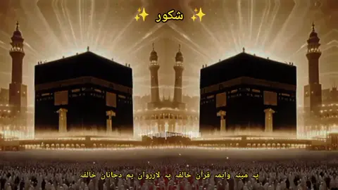 پہ مینہ وایمہ قرآن خالقہ پہ لارروان یم دجانان خالقہ ❤️❤️🤲🏻🤲🏻❤️❤️ #trending #foryoupage #fyp #500k #foryou #foryou #❤️ #fyp #500k #pleasegoviral #unfreezemyaccount #🙏 #tiktok 