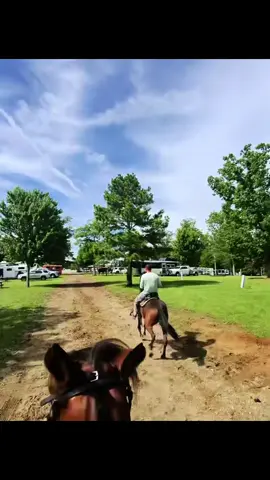 DEVIN THIS DEVIN THAT ! GTF OFF DEVIN DIC  BAD MAMMA JAMMA BEST IN DA 🌎 2x2 Ultimate SINGLEFOOTING 🥇🏆 REP YOUR STATE “30 MPH” PASS 🥇🏆  #GLSoverEverybody #Gharym #Getlive #getlivestables #itsgreatoutdoors #horses #foryoupage #horsesoftiktok #singlefootinghorse #louisiana #countryboy #horseriding #cowboy  #worldwide #OnTour #45 #456 #squidgamenetflix 