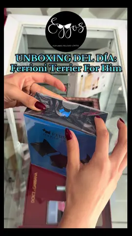 Fragancia del día: FERRIONI TERRIER FOR HIM💙 Encuéntrala en EGGOS por solo &450‼️  #perfumetiktok #eggosperfumeriapv #perfumesoriginales #puertovallarta #perfumesimportados 