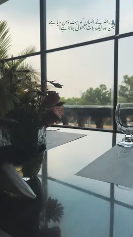 Insaniat mar jae to insaan kya haiwan kya!!🍂 • • • • • • • #fyp #viralvideo #viraltiktok #food #aesthetic #foodtiktok #poetry #poetrylover #poetrystatus #sad #sadstory #sadvibes🥀 #sadstatues #fyppppppppppppppppppppppp 