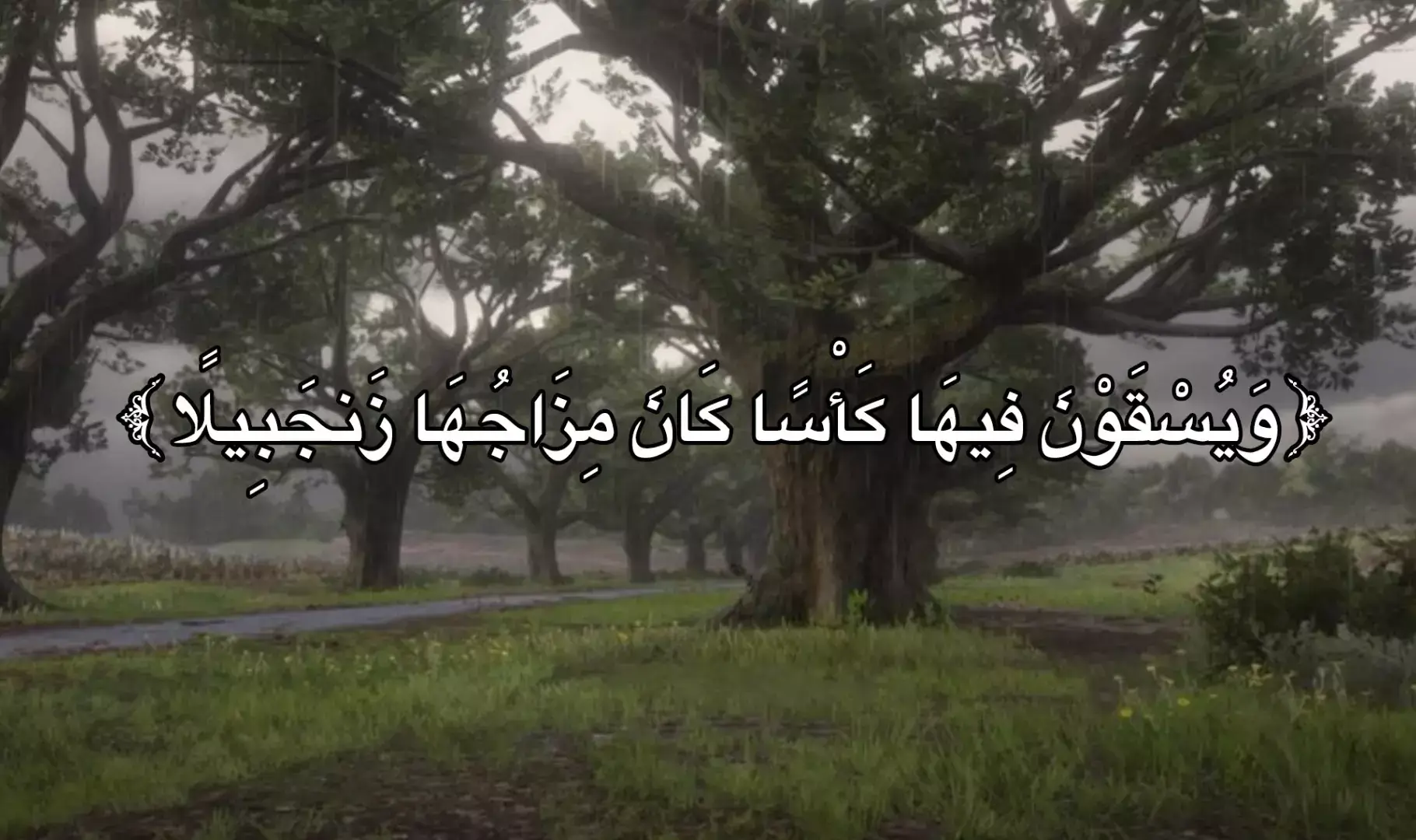 #قران_كريم #محمداللحيدان #fyppppppppppppppppppppppp #اكسبلور #viral #اجر_لي_ولكم 