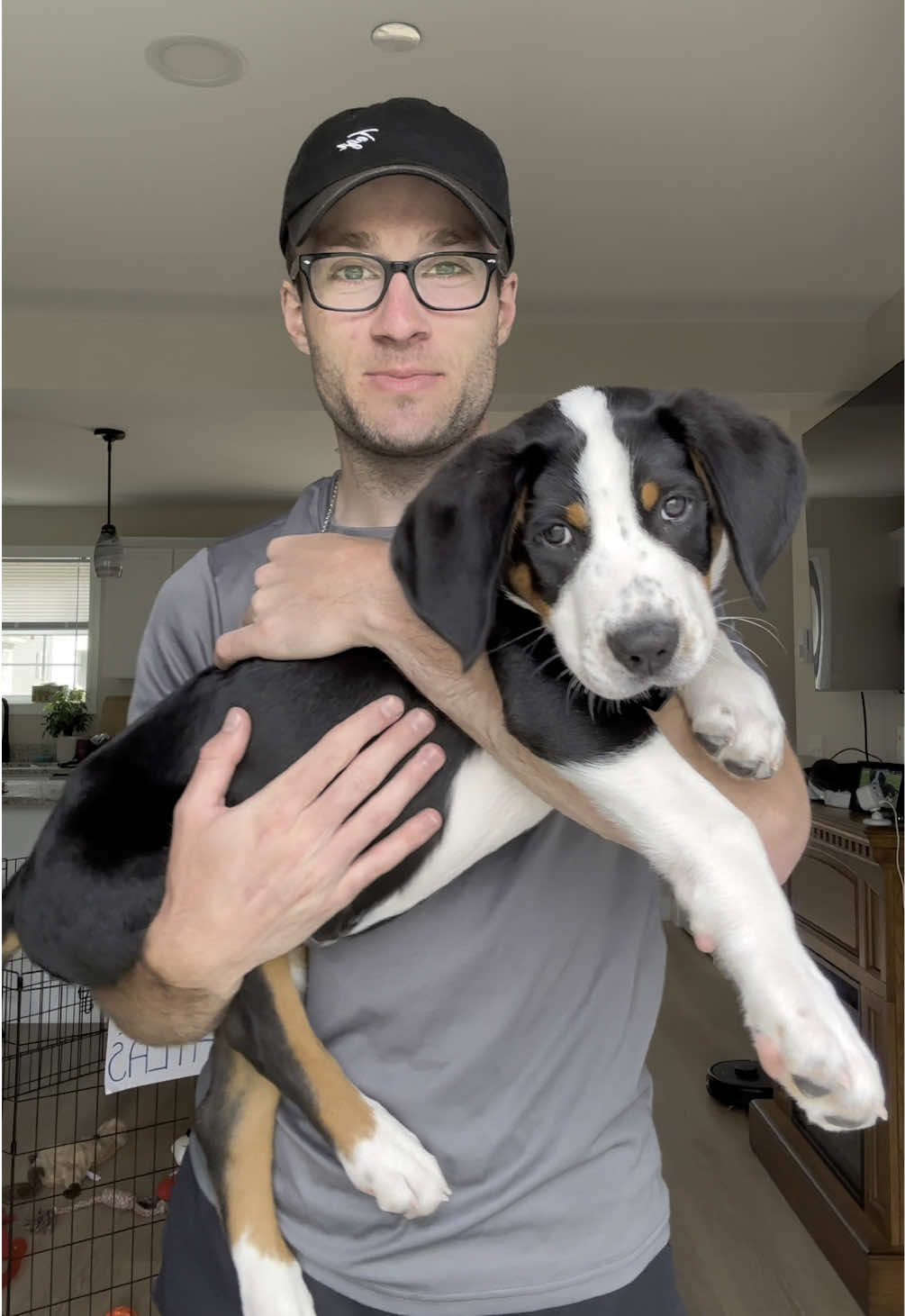 Day 3! They caught me in overtired shark mode for this weigh-in #dogsoftiktok #puppy #GSMD #cute #petlife #PetsOfTikTok #fyp #dog #funny #pet 