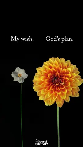 Yes! Claiming this today 🙏