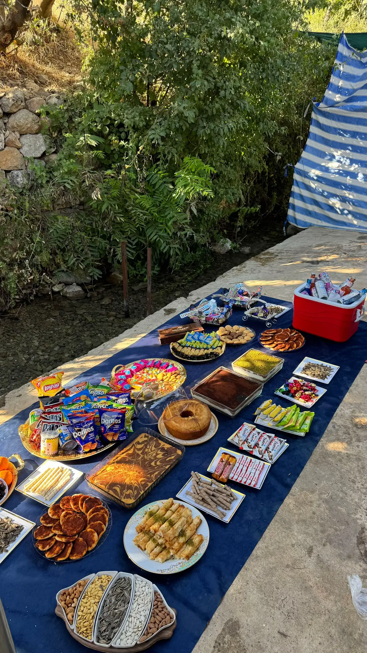 Picnic💞 #foryou #viral #tiktok #picnic 