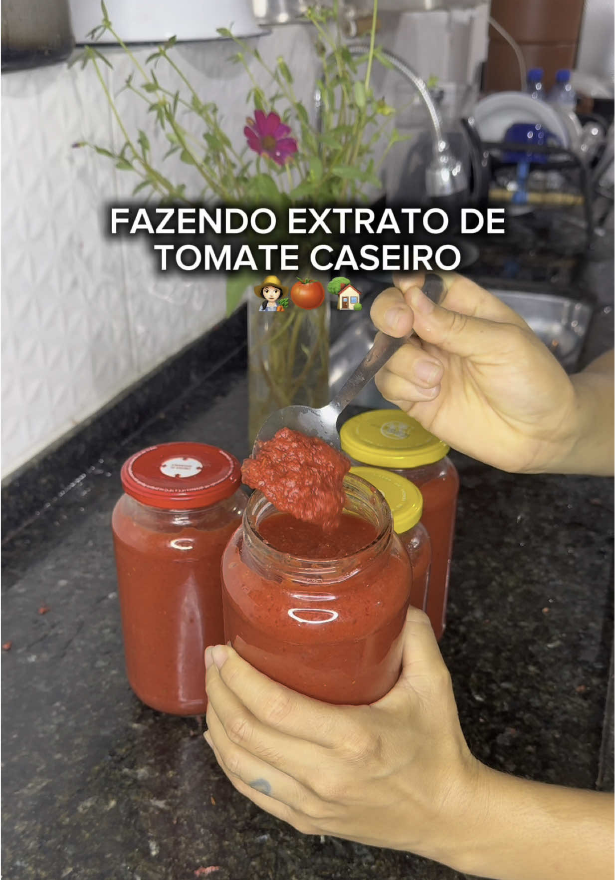 FAZENDO EXTRATO DE TOMATE CASEIRO 