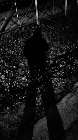old...🎼 #marsianski #fyp #lookism #looksmax #schizopill #darktriad #over #sralk
