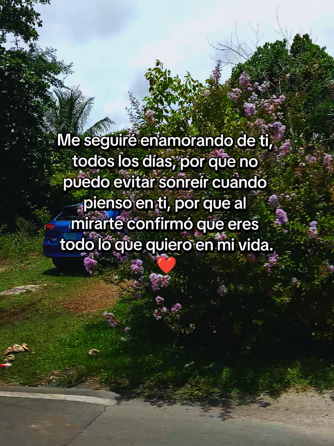 e namorando de ti todos los dias dedicar para ti mi amor#teamo #amor #dedicar #frasesdeamor💕 #paratii #viraltiktok #foryourpage #mivida #usa🇺🇸 