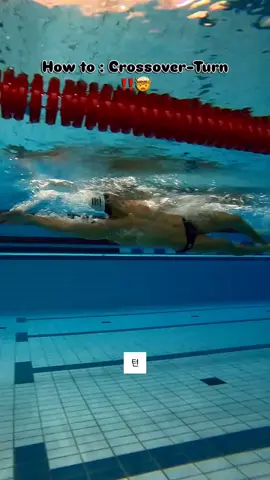 #تيرن #سباحه_🏊 #متنوع #ستارت #freestyle #backstroke #dolphen #im #turn 