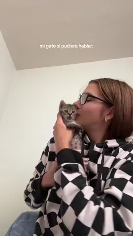está tan harto que del tiro va a hablar #gatos #mascotas #parati #fyp #trend #foryou #fyppppp 