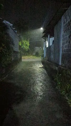 malam dan hujan menyatu dalam kedinginan 