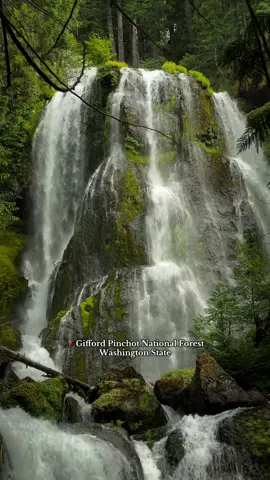 A day hiking/trip guide to the gorgeous📍Falls Creek Falls, Gifford Pinchot National Forest, Washington State.  The gravel road to get there does have some potholes but wasn’t really bad at all. Regular clearance veihcles can make it currently. Just take it slow! Hike is easy on the moderate side. Unfortunately I didn’t have time and energy to hike the loop which is considered more challenging.   Plenty of option around to extend your day (have made few suggestion in the video) so plan it accordingly. Enjoy!🥾 #fallscreekfalls #hikingtiktok #washingtonstate #Hiking #fyp #giffordpinchotnationalforest 