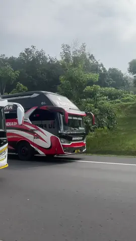 Spesialis blong kiri cirebonan🥰 #bhinneka #bhinnekabus #fortuna #buscirebonan #videobus #storybus #laksana #busindonesia #cirebonan #cipalirace #foryoupage #busmania #suoss #aktorcipali 