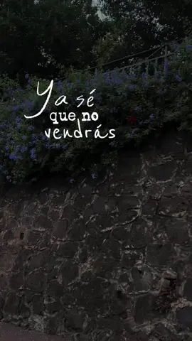 Shakira/Estoy Aquí #CapCut #shakira #estoyaqui #lyric #celesedit @Shakira 